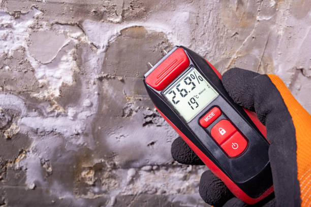 Home Mold Removal in Huntington Station, NY