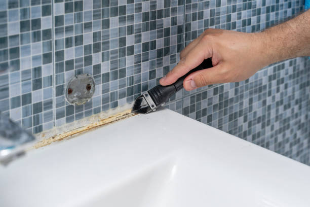 Best Mold Damage Repair  in Huntington Station, NY